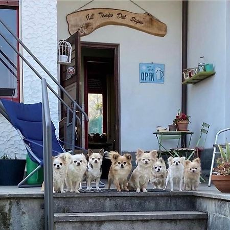 B&B Il Tempo Del Sogno Con Cani E Gatti Pet&Breakfast Бавено Экстерьер фото