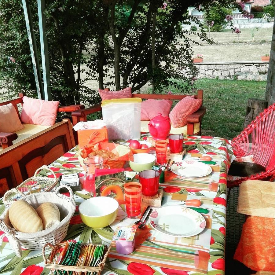 B&B Il Tempo Del Sogno Con Cani E Gatti Pet&Breakfast Бавено Экстерьер фото