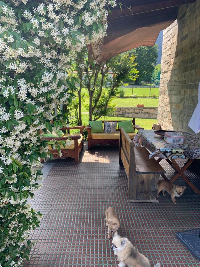 B&B Il Tempo Del Sogno Con Cani E Gatti Pet&Breakfast Бавено Экстерьер фото